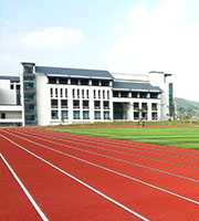 Vestibulum laoreet purus laoreet fermentum. 