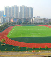 Vestibulum laoreet purus laoreet fermentum. 